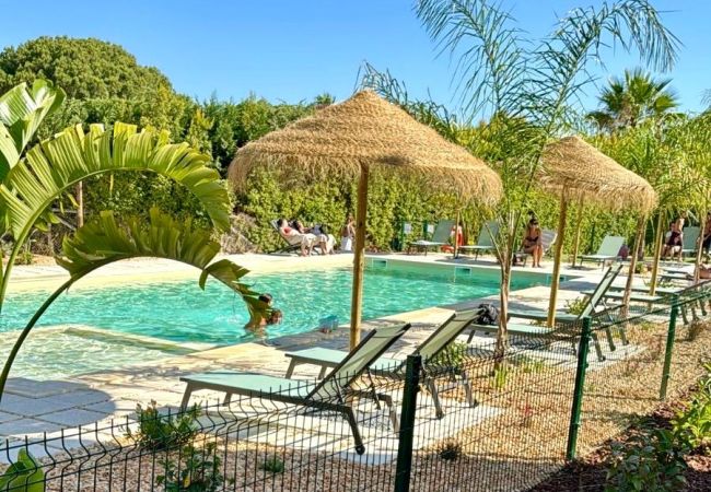 Apartamento em Vale do Lobo - Barra Prime Apartamento Summer Rose - Vale do Lobo